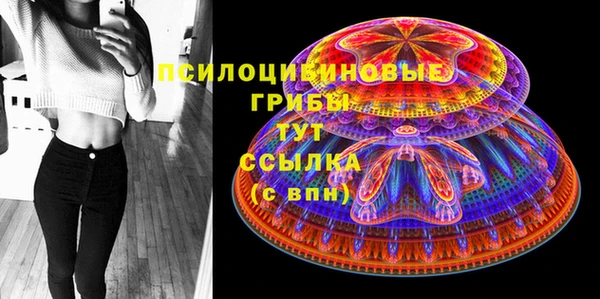МДПВ Арсеньев