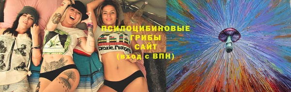 тгк Алексеевка
