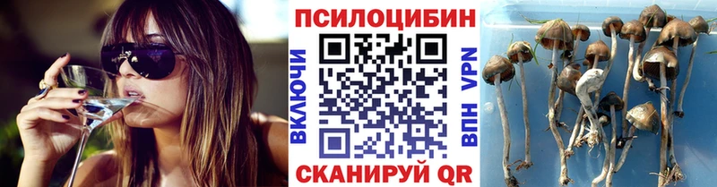 площадка формула  Куса  Псилоцибиновые грибы GOLDEN TEACHER  даркнет сайт 